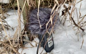 Digital recorder at Schafer's farm, 2022